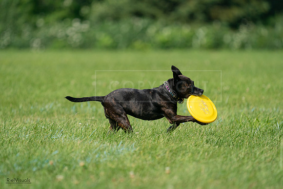 RielVisuals_20240728_103803_SJR08693