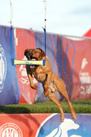 Air Retrieve