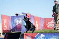 RielVisuals_NADD_Copper_Classic_20240126_140240_SJR00332