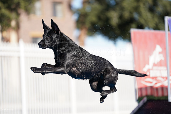 RielVisuals_NADD_Copper_Classic_20240126_141125_SJR07196