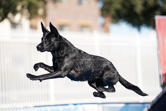 RielVisuals_NADD_Copper_Classic_20240126_141125_SJR07197