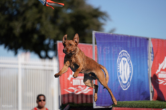 RielVisuals_NADD_Copper_Classic_20240126_142605_SJR07577