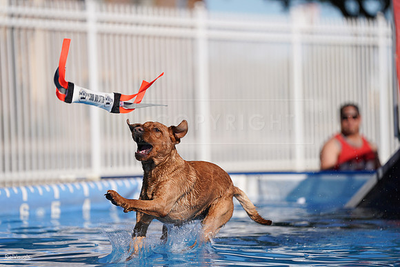 RielVisuals_NADD_Copper_Classic_20240126_142605_SJR07583