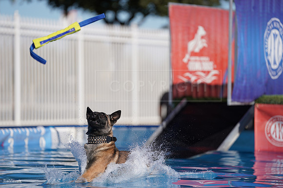 RielVisuals_NADD_Copper_Classic_20240126_143118_SJR07735