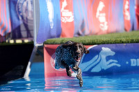 RielVisuals_NADD_Copper_Classic_20240126_130512_SJR08913
