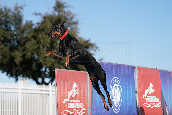 RielVisuals_NADD_Copper_Classic_20240126_144530_SJR08174