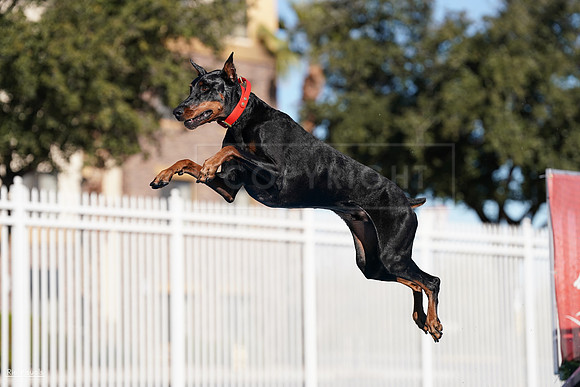 RielVisuals_NADD_Copper_Classic_20240126_144530_SJR08179