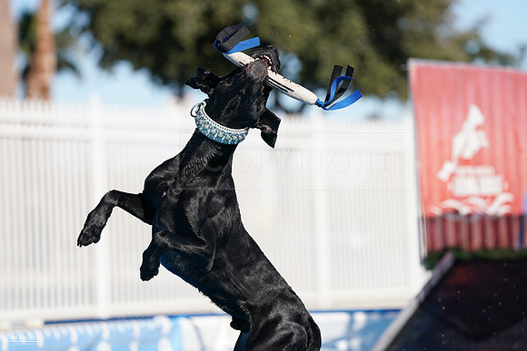 RielVisuals_NADD_Copper_Classic_20240126_145132_SJR08286