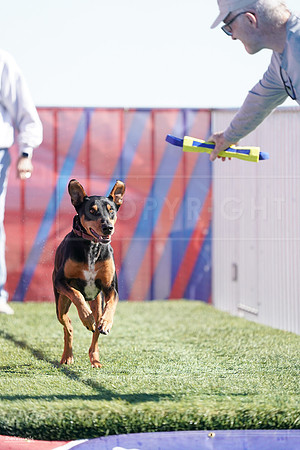 RielVisuals_NADD_Copper_Classic_20240126_124645_SJR08391