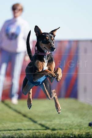 RielVisuals_NADD_Copper_Classic_20240126_124646_SJR08411