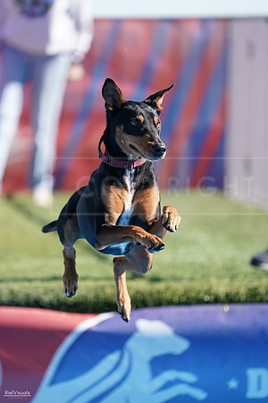 RielVisuals_NADD_Copper_Classic_20240126_124646_SJR08413