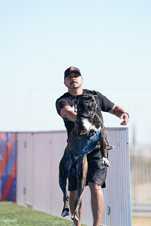 RielVisuals_NADD_Copper_Classic_20240126_125623_SJR08621
