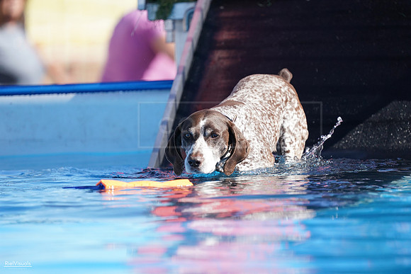 RielVisuals_NADD_Copper_Classic_20240126_125720_SJR08640