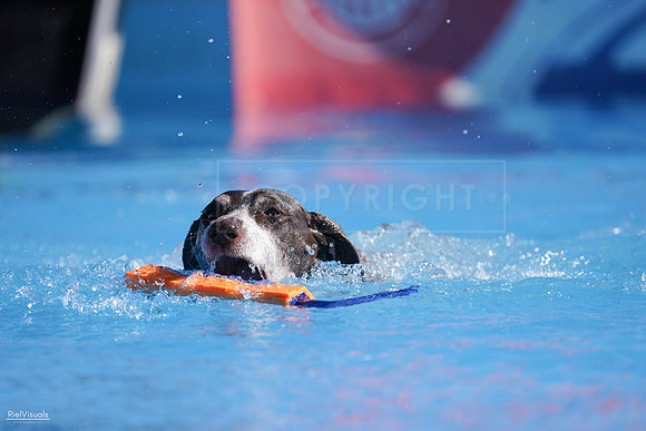 RielVisuals_NADD_Copper_Classic_20240126_125907_SJR08756