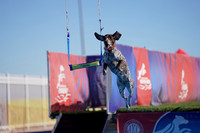 RielVisuals_NADD_Copper_Classic_20240126_115947_SJR07175