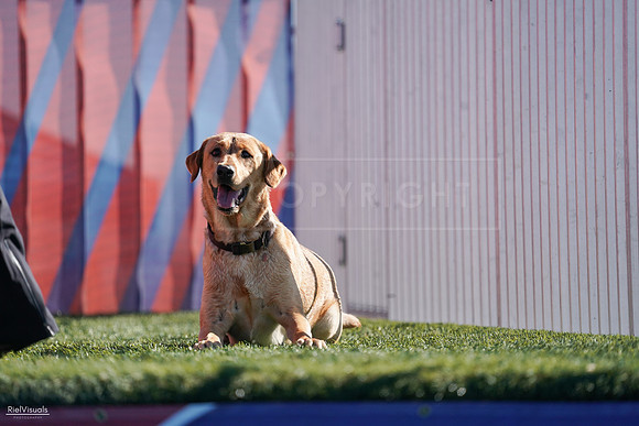 RielVisuals_NADD_Copper_Classic_20240126_110609_SJR05650