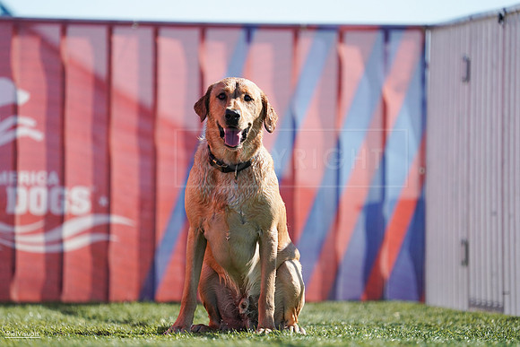 RielVisuals_NADD_Copper_Classic_20240126_110649_SJR05672