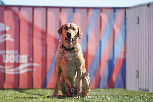 RielVisuals_NADD_Copper_Classic_20240126_110649_SJR05673