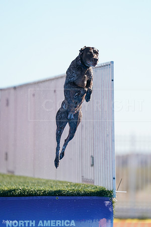 RielVisuals_NADD_Copper_Classic_20240126_111158_SJR05910