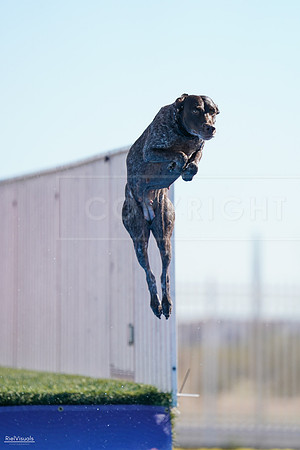 RielVisuals_NADD_Copper_Classic_20240126_111158_SJR05913