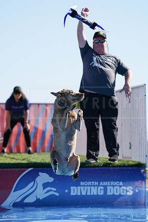 RielVisuals_NADD_Copper_Classic_20240126_111711_SJR06170