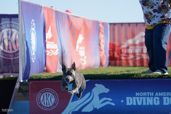 RielVisuals_NADD_Copper_Classic_20240126_111942_SJR06251