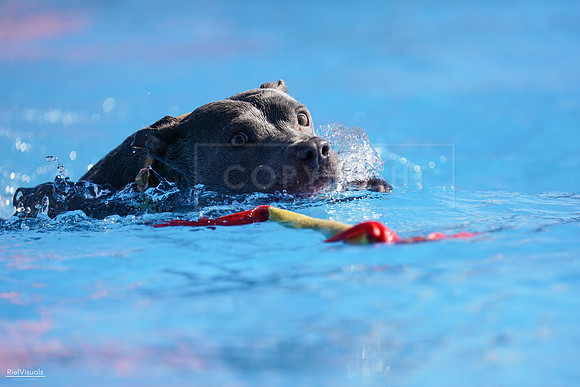 RielVisuals_NADD_Copper_Classic_20240126_111945_SJR06266