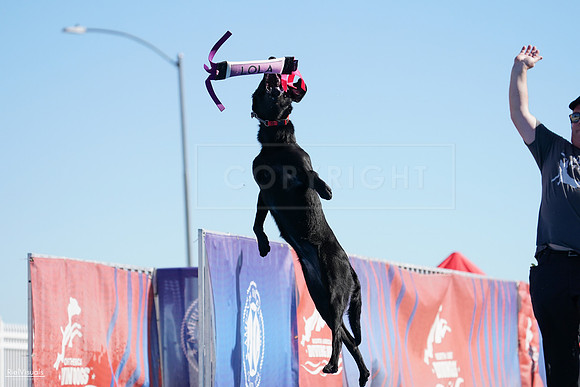 RielVisuals_NADD_Copper_Classic_20240126_112618_SJR06504