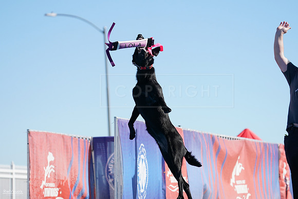 RielVisuals_NADD_Copper_Classic_20240126_112618_SJR06505