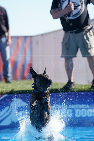 RielVisuals_NADD_Copper_Classic_20240126_113105_SJR06669