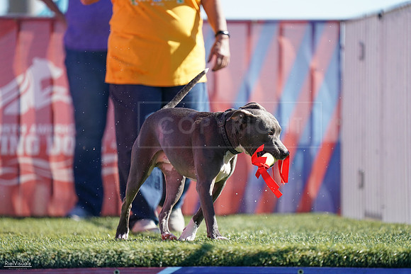 RielVisuals_NADD_Copper_Classic_20240126_113624_SJR06817