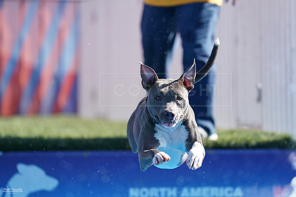 RielVisuals_NADD_Copper_Classic_20240126_113707_SJR06851
