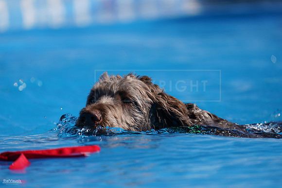RielVisuals_NADD_Copper_Classic_20240126_113815_SJR06897