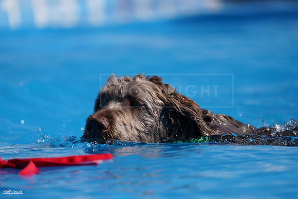 RielVisuals_NADD_Copper_Classic_20240126_113815_SJR06898
