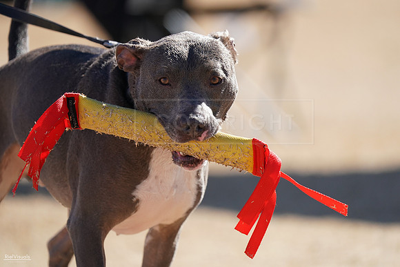RielVisuals_NADD_Copper_Classic_20240126_113832_SJR06933