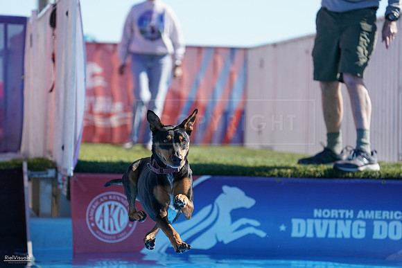 RielVisuals_NADD_Copper_Classic_20240126_114023_SJR06985