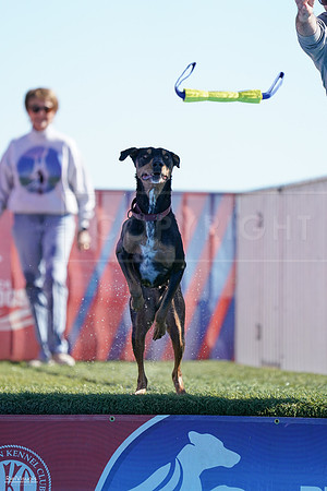RielVisuals_NADD_Copper_Classic_20240126_114103_SJR06996
