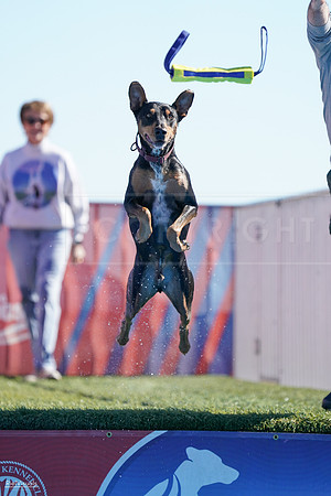 RielVisuals_NADD_Copper_Classic_20240126_114103_SJR06998