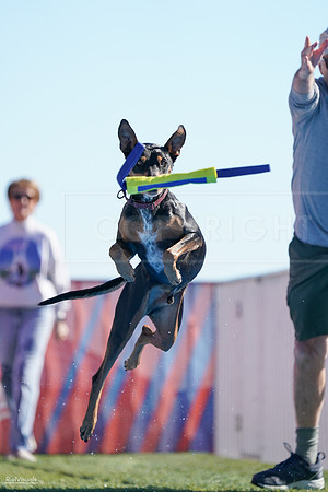 RielVisuals_NADD_Copper_Classic_20240126_114103_SJR07002