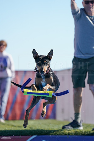 RielVisuals_NADD_Copper_Classic_20240126_114103_SJR07006