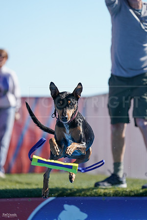 RielVisuals_NADD_Copper_Classic_20240126_114103_SJR07007