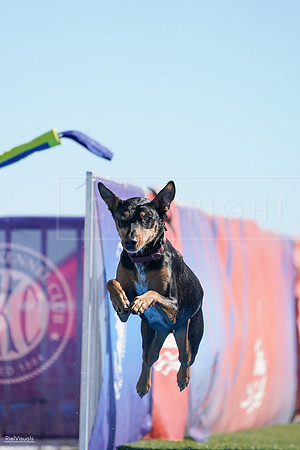 RielVisuals_NADD_Copper_Classic_20240126_114138_SJR07020