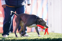 RielVisuals_NADD_Copper_Classic_20240126_100153_SJR03926