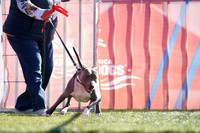 RielVisuals_NADD_Copper_Classic_20240126_100048_SJR03895