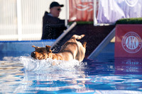 RielVisuals_NADD_Copper_Classic_20240126_090127_SJR02053