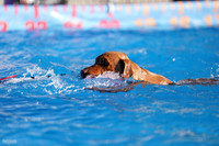 RielVisuals_NADD_Copper_Classic_20240126_090209_SJR02082
