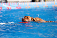 RielVisuals_NADD_Copper_Classic_20240126_090209_SJR02077