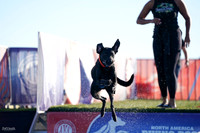 RielVisuals_NADD_Copper_Classic_20240126_090521_SJR02129