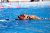 RielVisuals_NADD_Copper_Classic_20240126_090209_SJR02078