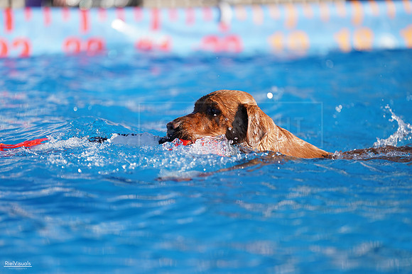 RielVisuals_NADD_Copper_Classic_20240126_090209_SJR02083